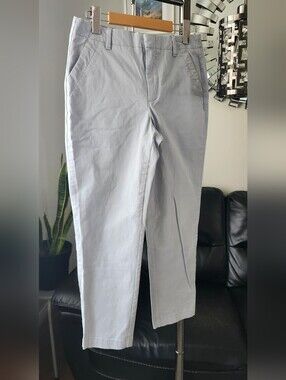Banana Republic Light Blue Gray Chino Pants